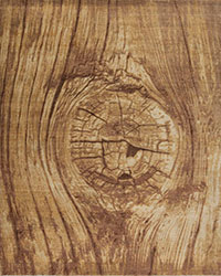 Tree Trunk Wood Standard sizes 6x9, 8x10, 9x12, 10X14
Call for availability. Custom sizes made to order.